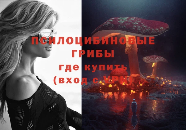 ПСИЛОЦИБИНОВЫЕ ГРИБЫ Лихославль