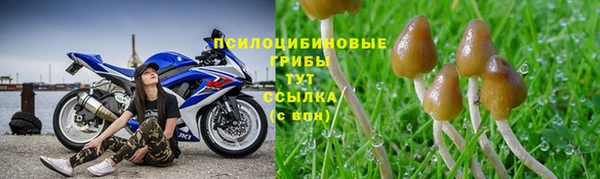 гидра Магадан